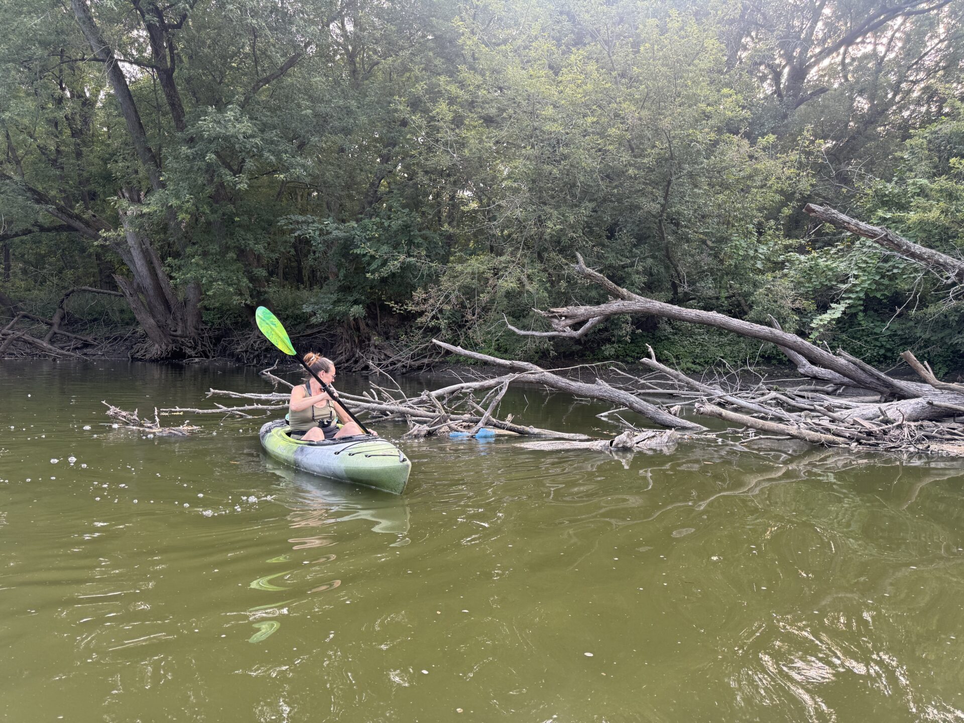Stephanie kayaking along the Rock River while cleaning debris from the water near fallen branches.