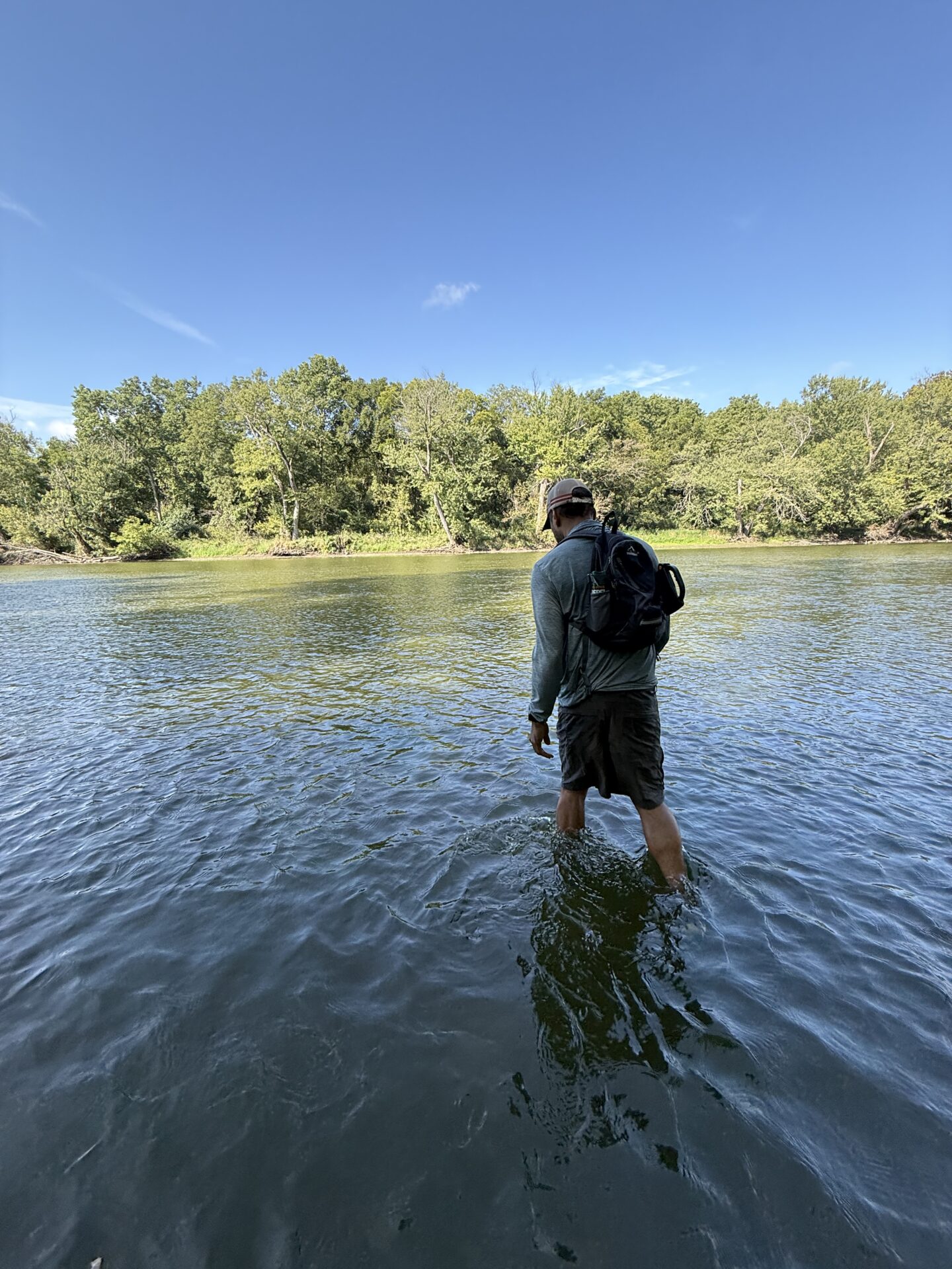 Standing in shallow water along the Rock River.