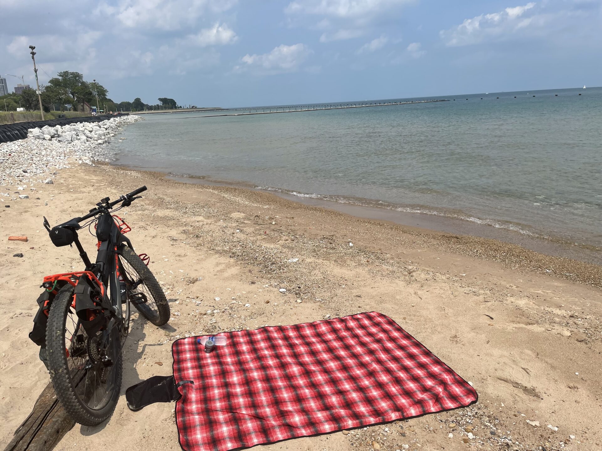 My Trek 1120 beside a red plaid picnic blanket on a sandy beach overlooking calm water.